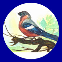 little bird stickers