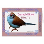 Little Birdie Happy Birthday Card