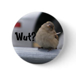 Little Birdy Button: "Wut?"