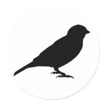 LITTLE BIRDY STICKER