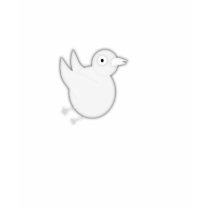 Little Birdy t-shirts