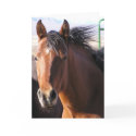 Little Bit cards by talbotland Little Bit cards