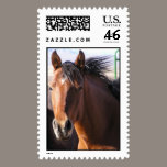 Little Bit postage