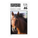 Little Bit postage by talbotland Little Bit postage