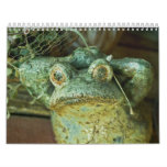 Little Bit This Little Bit That calendars