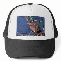 Little Bittern Trucker Hats