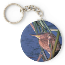 Little Bittern Key Chains