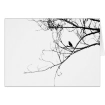 Little Black Bird Card