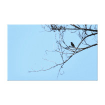 Little Black Bird Wrapped Canvas Gallery Wrap Canvas