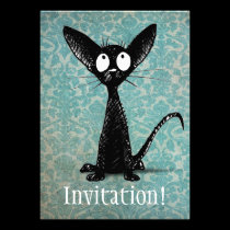 Little Black Cat Announcement