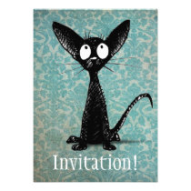 Little Black Cat Announcement