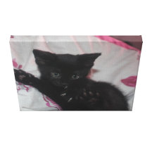 Little black cat canvas print