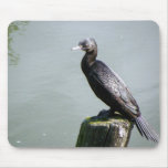 Little Black Shag Mousepad