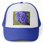 Little Blue Buds Mesh Hat