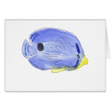 Little Blue Fish Cards