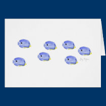 Little Blue Fish Cards cards