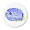Little Blue Fish Magnet by ginyhogan Little Blue Fish Magnet