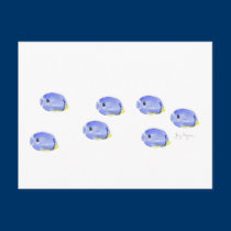 Little Blue Fish Postcard postcards