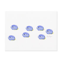 Little Blue Fish Postcard by ginyhogan Little Blue Fish Postcard