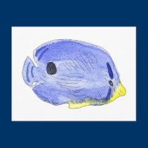 Little Blue Fish Postcard postcards