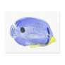Little Blue Fish Postcard