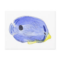 Little Blue Fish Postcard by ginyhogan Little Blue Fish Postcard