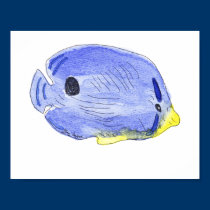 Little Blue Fish Posters and Prints