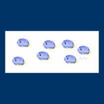 Little Blue Fish Posters and Prints