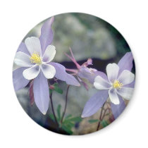 Little blue Flowers magnets