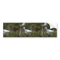 Little Blue Heron Bumper Sticker
