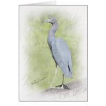 Little blue heron greeting cards