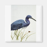 Little blue heron fridge magnets