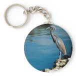 Little blue heron keychains