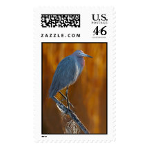 Little Blue Heron & Spider Web Stamp