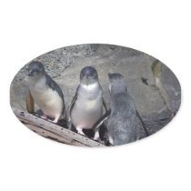 Little Blue Penguins Oval Stickers