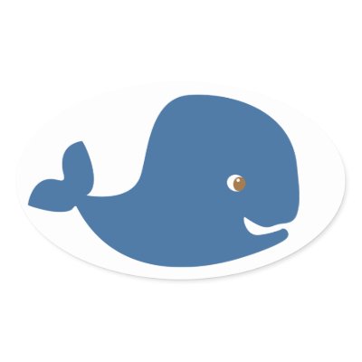 blue whale baby