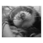 Little Bonnie Sleeping Photo Print