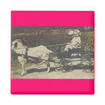 LITTLE BOY AND GIRL RIDING GOAT magnets