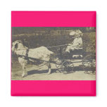 LITTLE BOY AND GIRL RIDING GOAT magnets