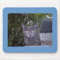 Little Boy Blue mousepads