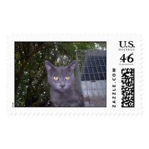 Little Boy Blue stamps
