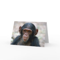 Little Boy cards