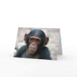Little Boy cards