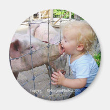 Little Boy & Pig Fridge Magnets