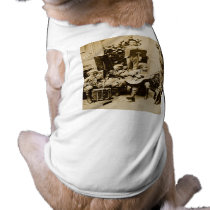 Little Boys Orchestra - Vintage Stereoview pet clothing by scenesfromthepast Little Boys Orchestra - Vintage Stereoview pet clothing