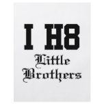 little brothers flyer