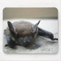 Little brown bat (Myotis lucifugus) mousepads by JeanC_PurpleDucky Little brown bat (Myotis lucifugus) mousepads