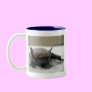 Little brown bat (Myotis lucifugus) Mug
