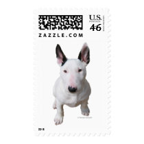 Little Bull Terrier Stamp