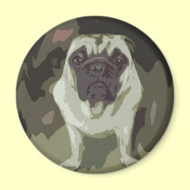 Little Bulldog magnets